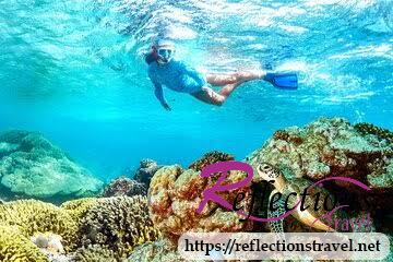 Day Trip Snorkeling At Port Ghalib Marina from Marsa Alam