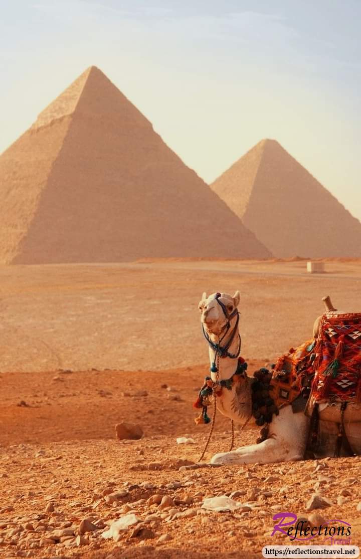 Private Half- Day Tour: Great Pyramids - Sphinx - Egyptian Museum