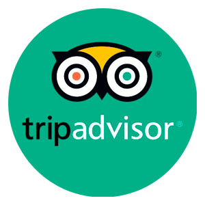 TripAdvisor Reviews